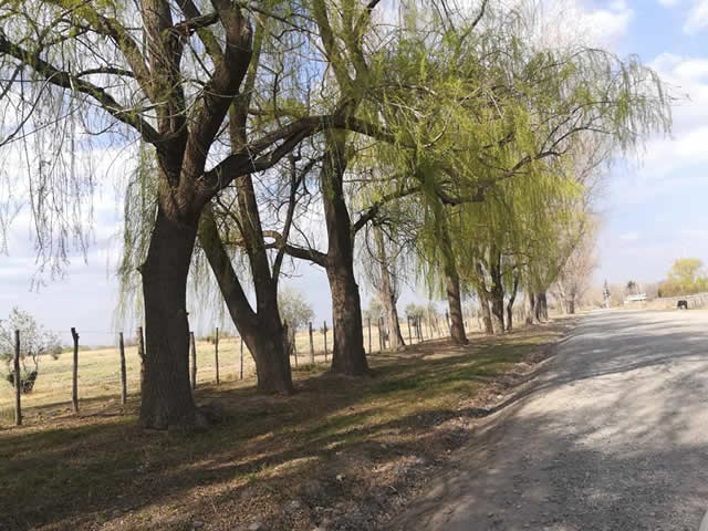 El Algarrobo Tunuyan Mendoza Argentina