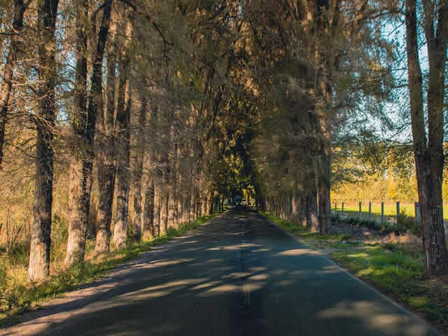 Calle Tabanera Colonia Las Rosas Tunuyan Mendoza Argentina