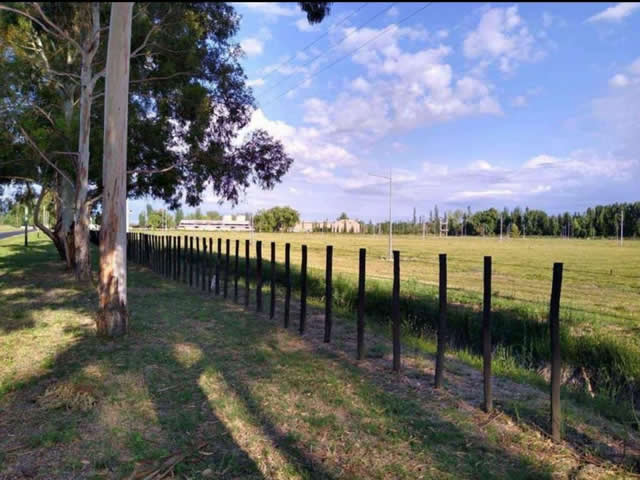 La Primavera Tunuyan Mendoza Argentina