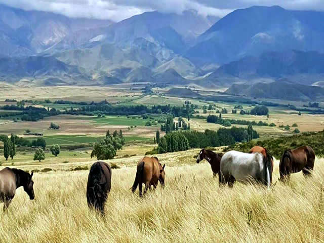 La Carrera Tupungato Mendoza Argentina