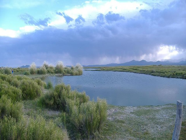 Laguna Llancanelo Agua Escondida Malargüe Mendoza Argentina