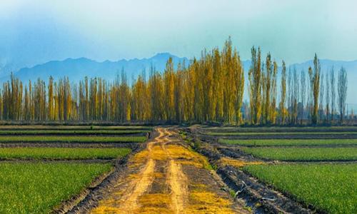 Santa Blanca Fray Luis Beltrán Maipu  Mendoza Argentina