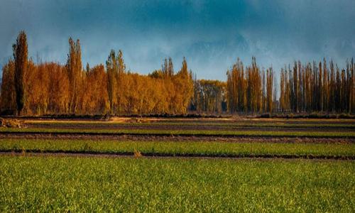 Santa Blanca Fray Luis Beltrán Maipu  Mendoza Argentina