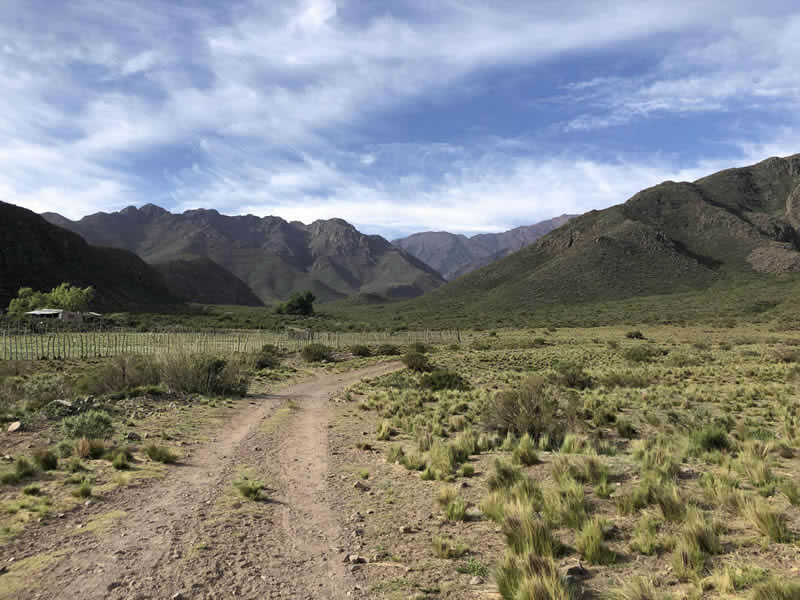 Los Chacayes, Tunuyán. Mendoza, Argentina.