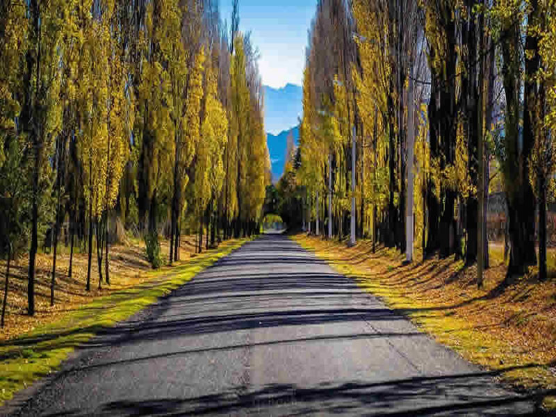 Las Compuertas, Luján de Cuyo. Mendoza, Argentina.