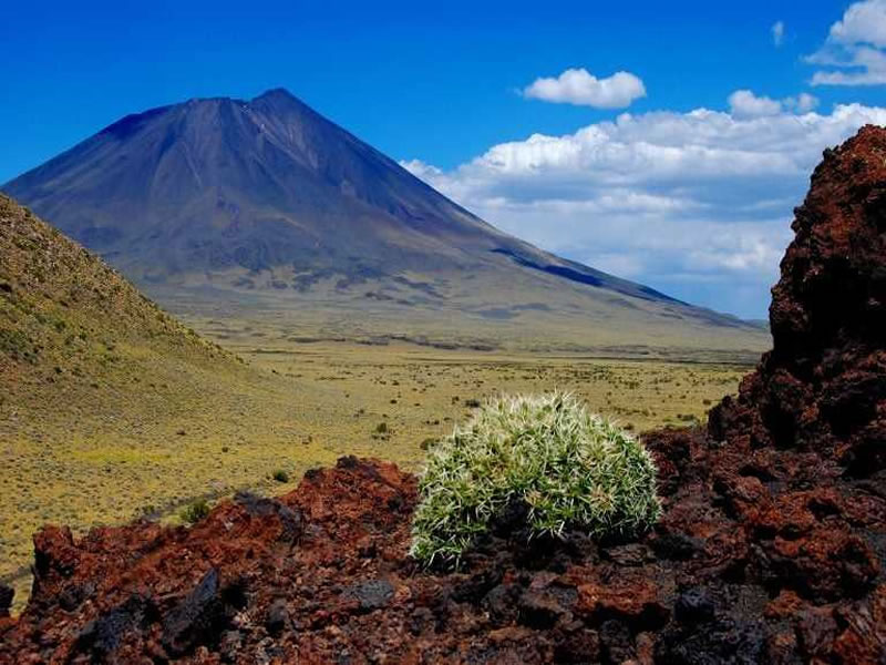 La Payunia, Malargüe. Mendoza, Argentina.