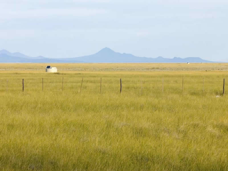 Cañada Amarilla, Malargüe. Mendoza, Argentina.