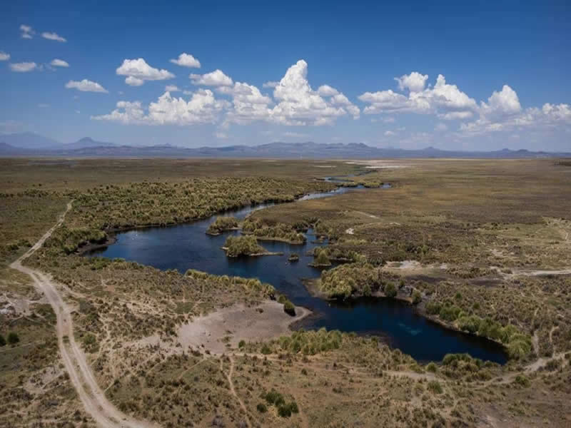 El Capacho, Malargüe. Mendoza, Argentina.