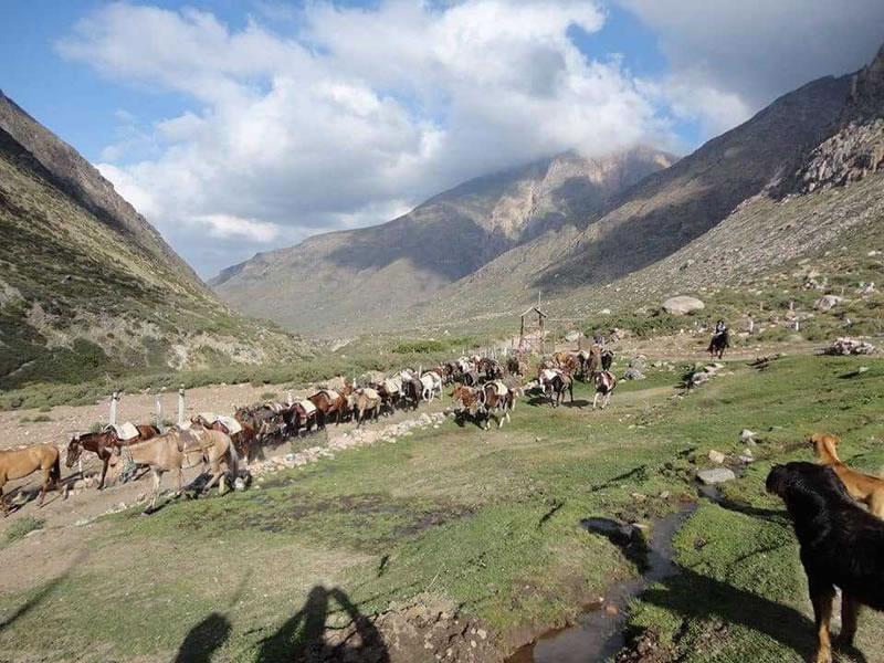 Valle de Uco, Tunuyán. Mendoza, Argentina.
