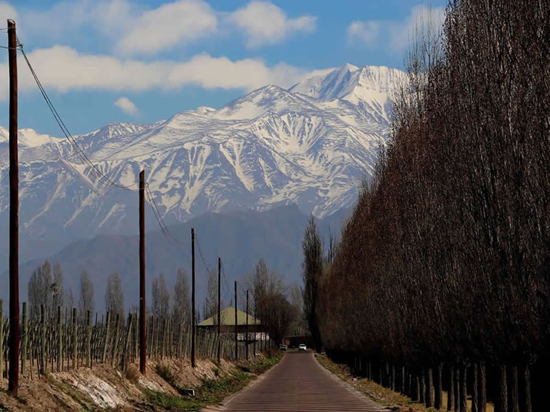 Perdriel, Luján de Cuyo. Mendoza, Argentina.