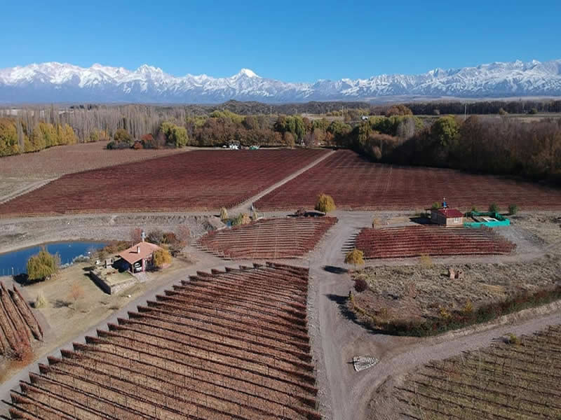 San José, Tupungato. Mendoza, Argentina.
