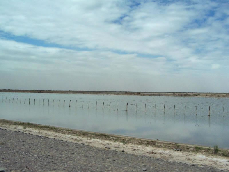 Lagunas de Guanacache, Lavalle. Mendoza, Argentina.