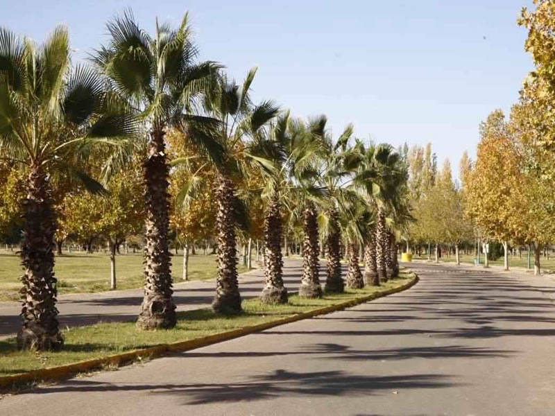Parque Metropolitano, Maipú. Mendoza, Argentina.