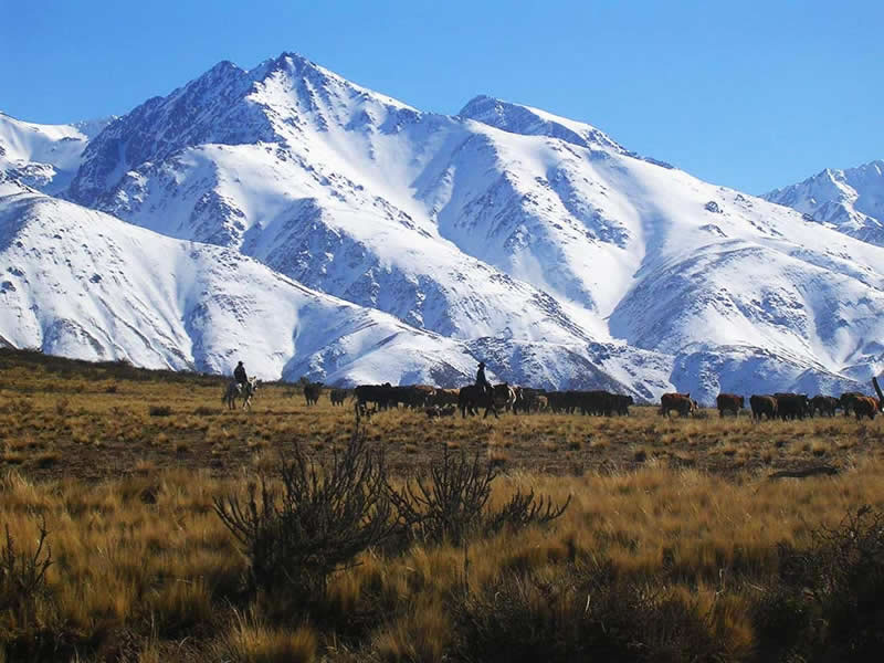 Parque Provincial Cordón del Plata, Luján de Cuyo. Mendoza, Argentina.