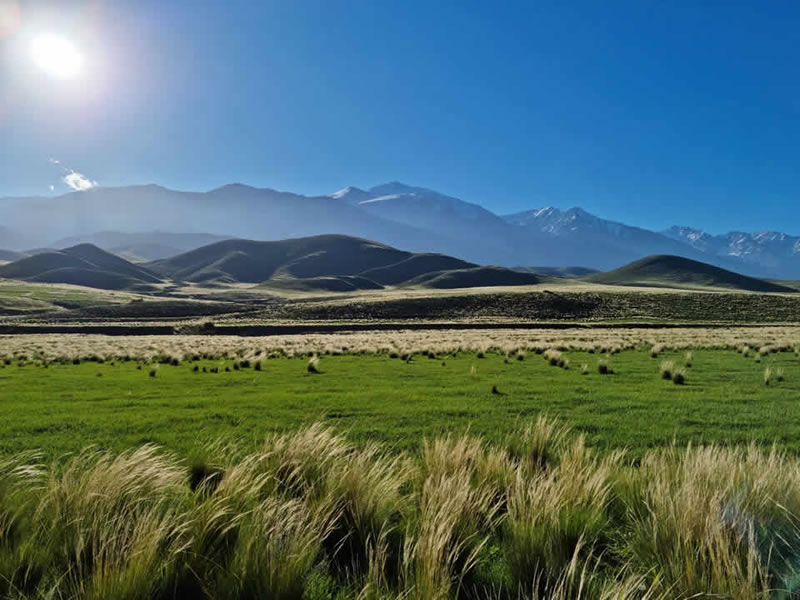 La Carrera, Tupungato. Mendoza, Argentina.