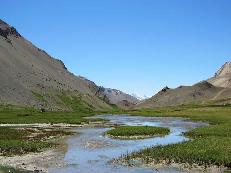Paso Vergara, Malargüe. Mendoza, Argentina.