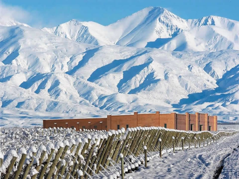 Viñedo y Bodega, Valle de Uco. Mendoza, Argentina.