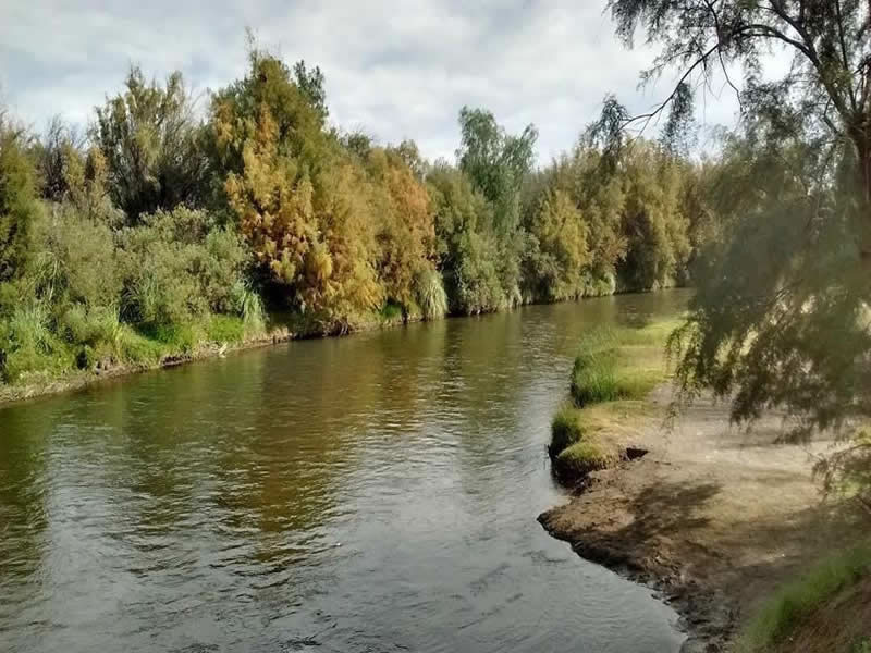 Río Atuel, General Alvear. Mendoza, Argentina.