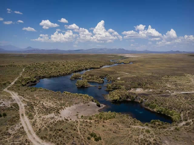 Carapacho Malargue Mendoza Argentina