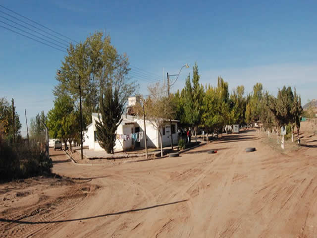 Pata Mora Malargue Mendoza Argentina