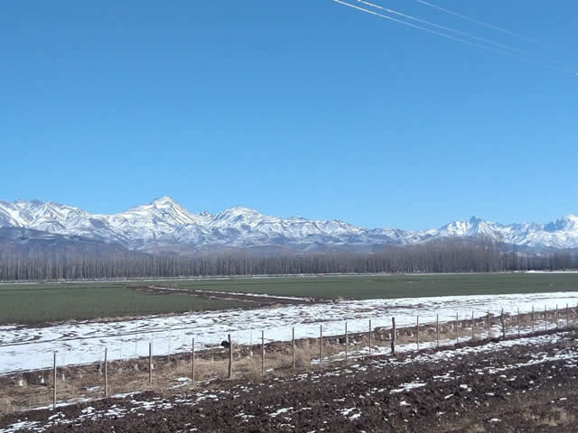 El Chacay Malargue Mendoza Argentina