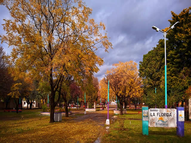 La Florida Los Campamentos Rivadavia Mendoza Argentina