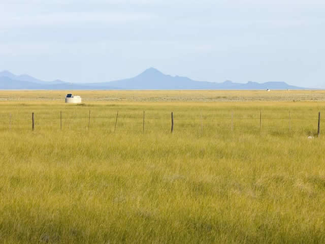 Cañada Amarilla Malargüe Mendoza Argentina