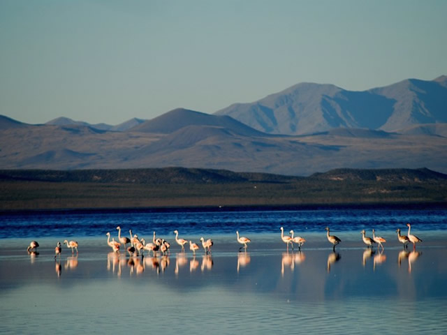 Las Leñas Malargue Mendoza Argentina