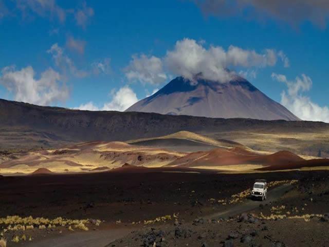 La Payunia Malargue Mendoza Argentina