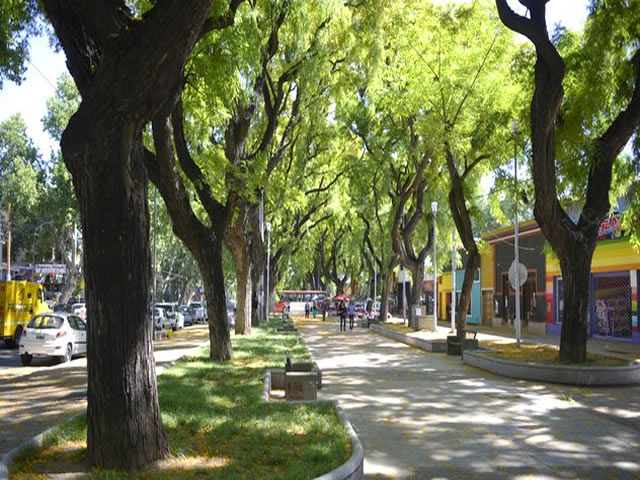 Alameda Capital Mendoza Argentina
