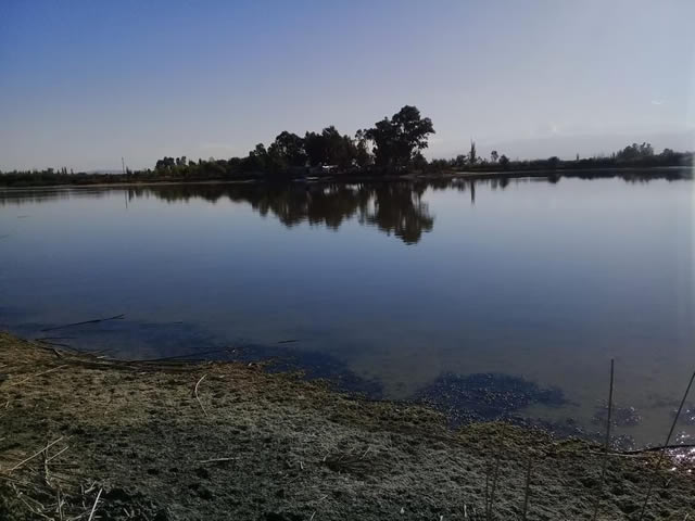 Laguna El Viboron Maipu Mendoza Argentina