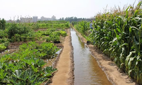 Acequia para riego Mendoza Argentina