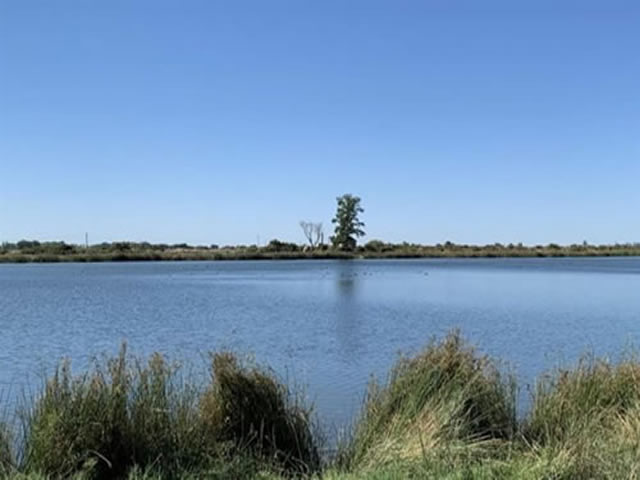 Foto: Mendoza.gov.ar Humedal Leyes Tulumaya Lavalle Mendoza Argentina