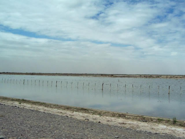 Foto: Mendoza.italiani.it Lagunas de Guanacache Lavalle Mendoza Argentina