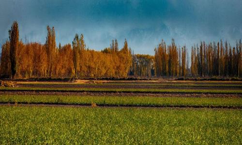 Santa Blanca Fray Luis Beltran Maipu Mendoza Argentina