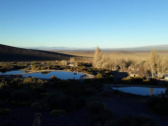 Puesto Mansilla Coihueco Malargue Mendoza Argentina