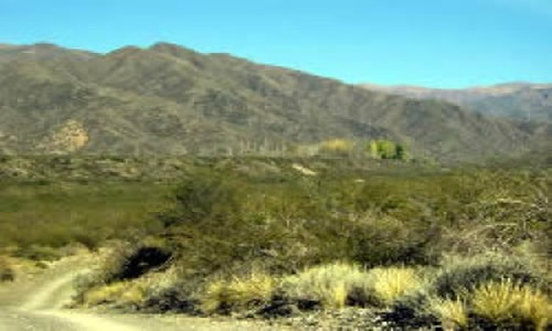 Petroglifos de Bajo Canota Mendoza Argentina