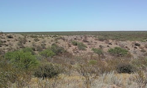 Foto: Ecodes Reserva de Biósfera de Ñacuñan Mendoza Argentina