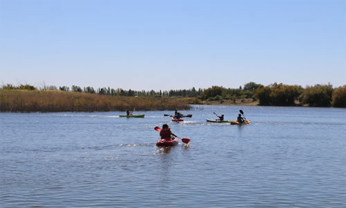 Reserva Laguna del Trapal Mendoza Argentina
