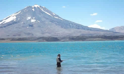 Reserva Natural Laguna del Diamante Mendoza Argentina