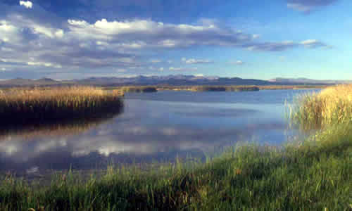 Reserva Natural Laguna de Llancanelo Mendoza Argentina