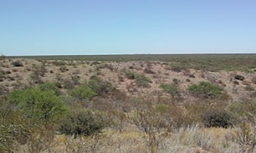 Reserva de Biósfera de Ñacuñan Mendoza Argentina